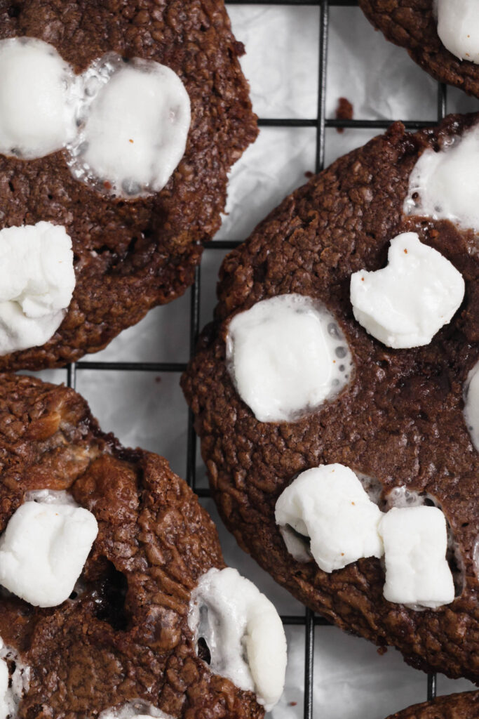 Homemade hot cocoa cookies top view close up detail shot