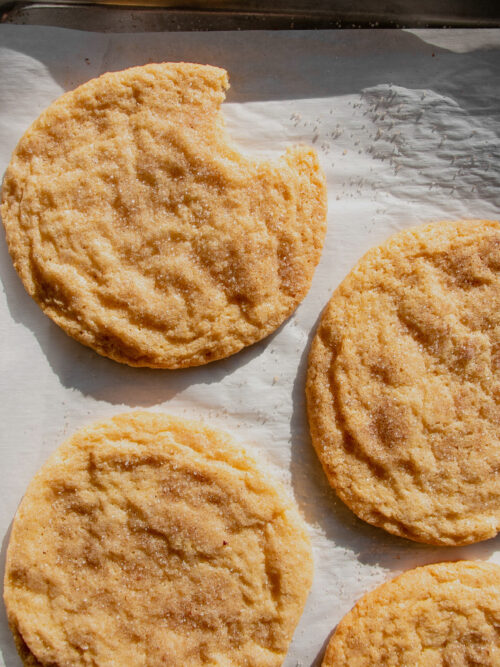 homemade jumbo snickerdoodle cookies on a tray, top view with a bite