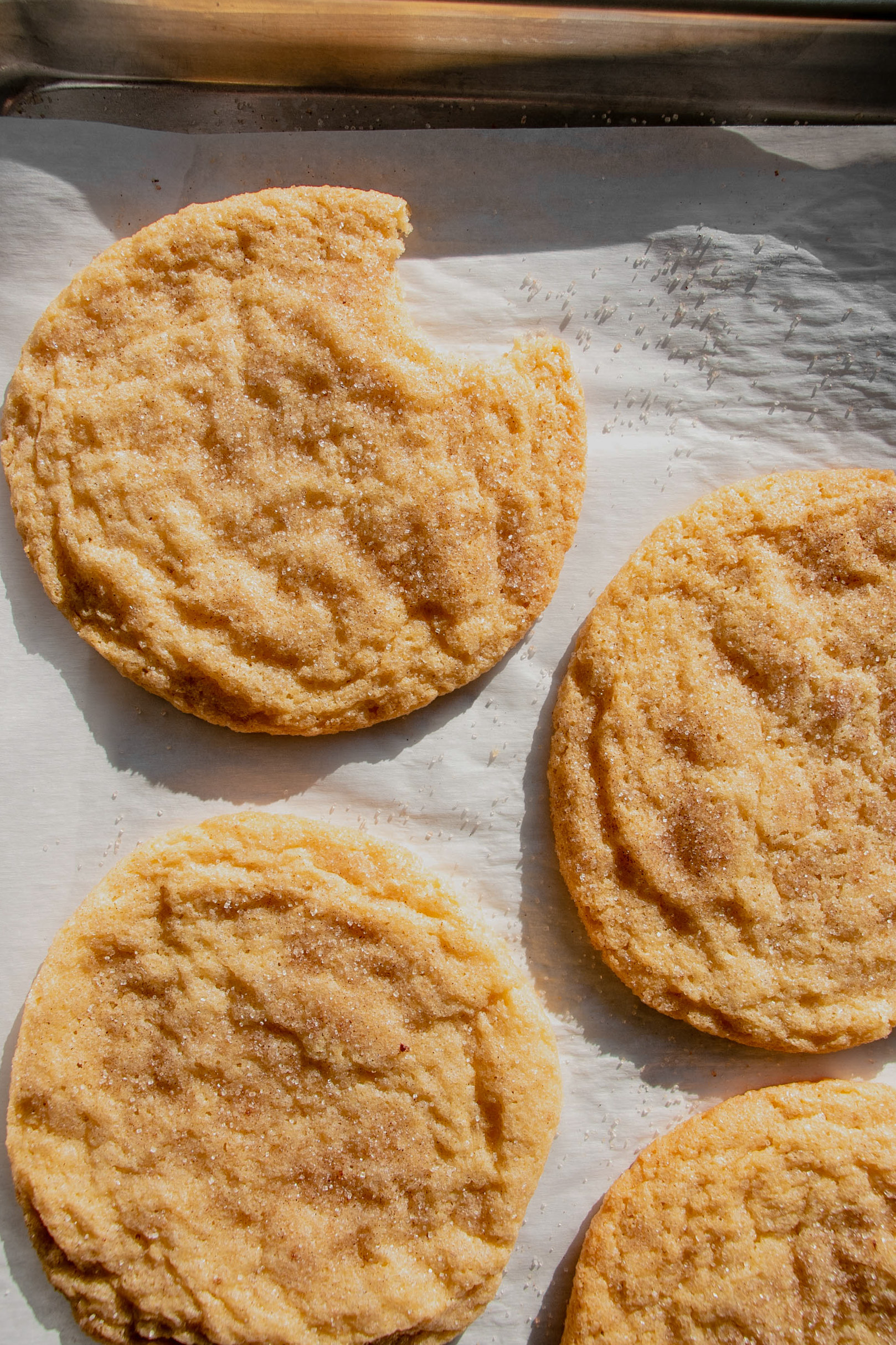 homemade jumbo snickerdoodle cookies on a tray, top view with a bite